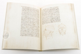 De Prospectiva Pingendi (Circulating Stacks Edition), Reggio Emilia, Biblioteca Panizzi, Ms. Regg. A 41/2, De Prospectiva Pingendi (Circulating Stacks Edition) by Aboca Museum.